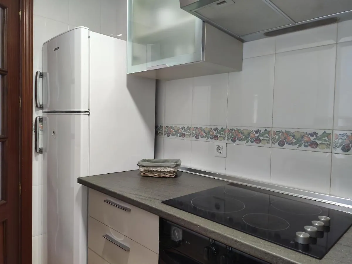 Apartamentos Seneca Junto Al Centro Malaga